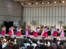 hulatone フラトーン2013